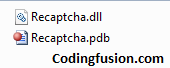 recaptcha-example-in-asp-net